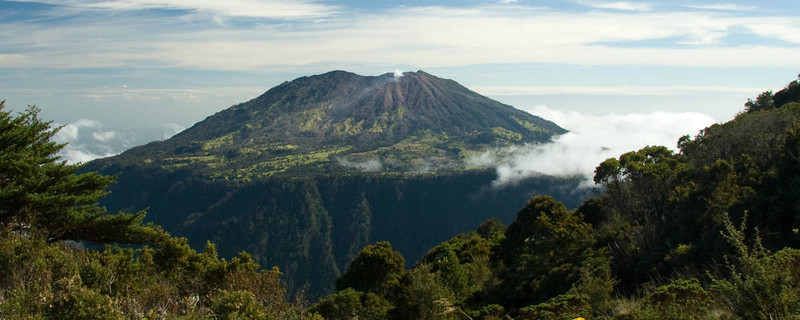 活躍的火山
