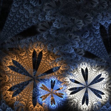 Woven Flora摘要