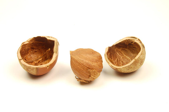 haselnuts