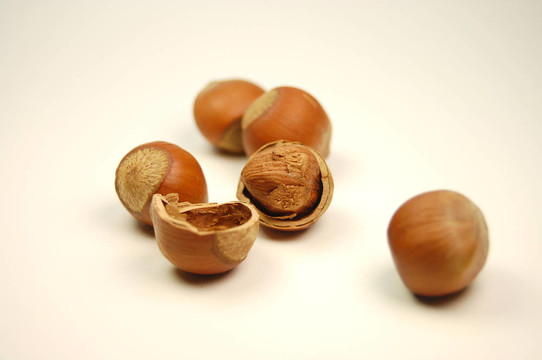 haselnuts
