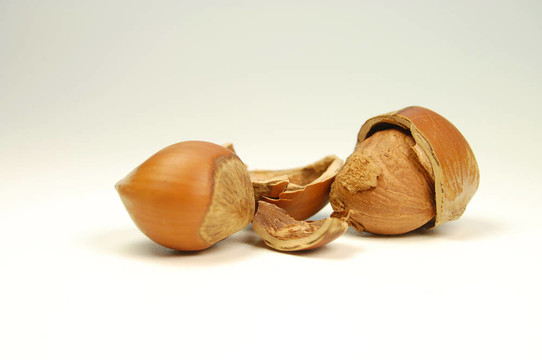 haselnuts
