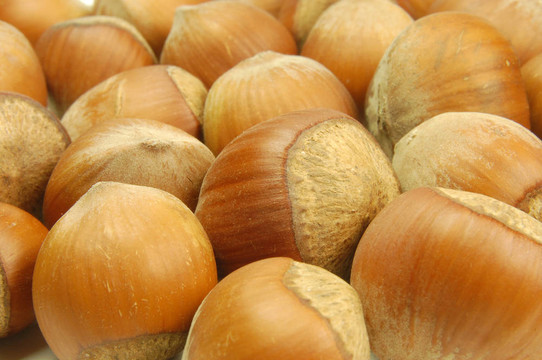haselnuts