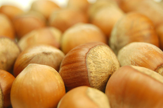 haselnuts