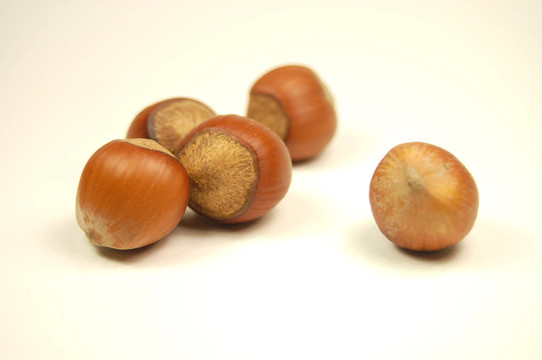 haselnuts