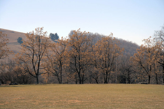 Virginia群山