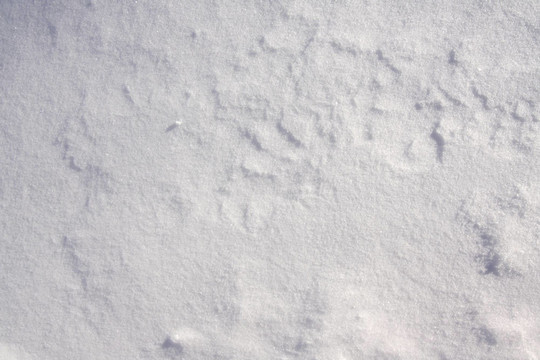 白雪的背景