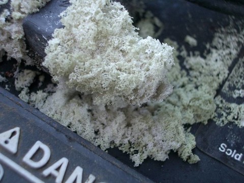 腐蝕電池的終端