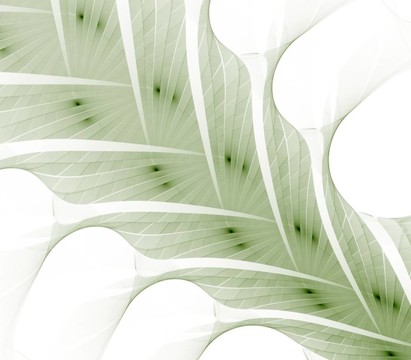 植物秸稈摘要