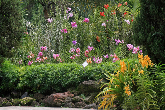 新加坡植物園