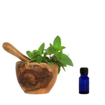 巧克力薄荷葉