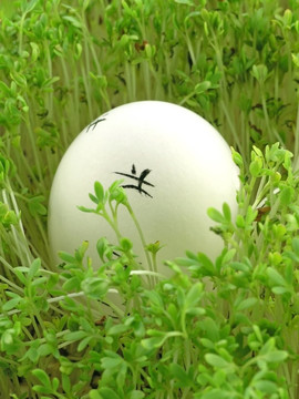 復(fù)活節(jié)彩蛋