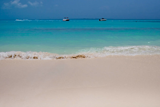 在熱帶海灘上沖浪