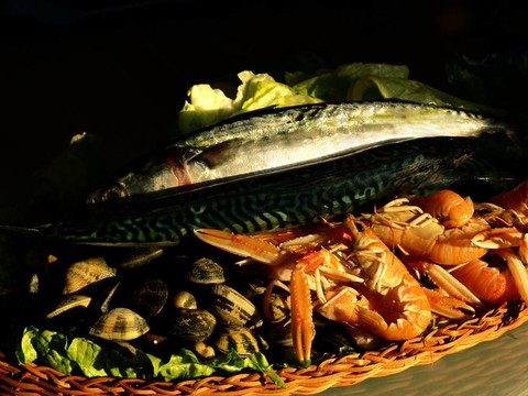 新鮮的魚(yú)