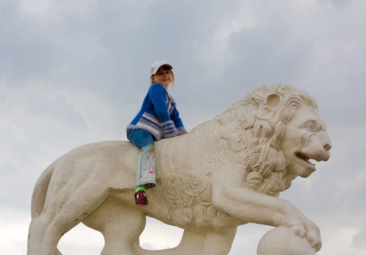 在lionback