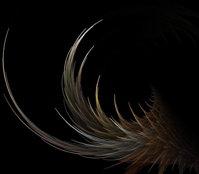 穗卷曲