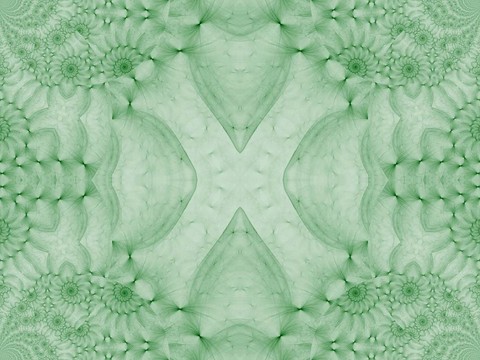 橄欖X摘要