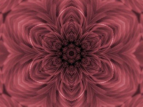 玫瑰花瓣