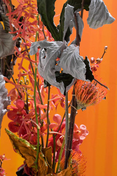 花園節(jié)