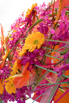 花園節(jié)