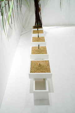 花園節(jié)