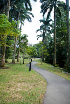 在樹(shù)公園路