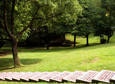 綠色公園