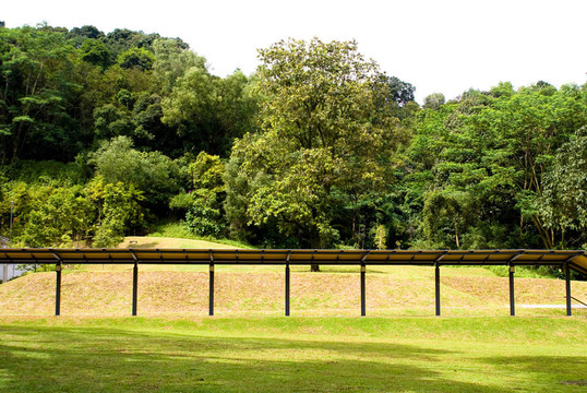 綠色公園