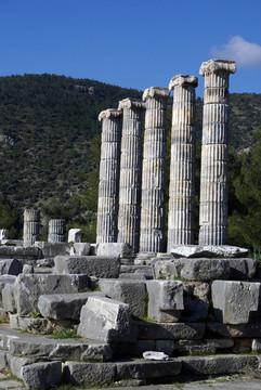 athenatemple