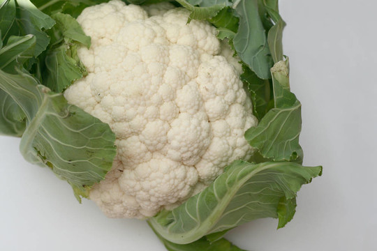菜花