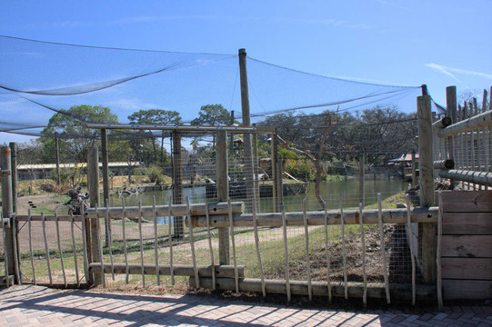 動物園圍欄