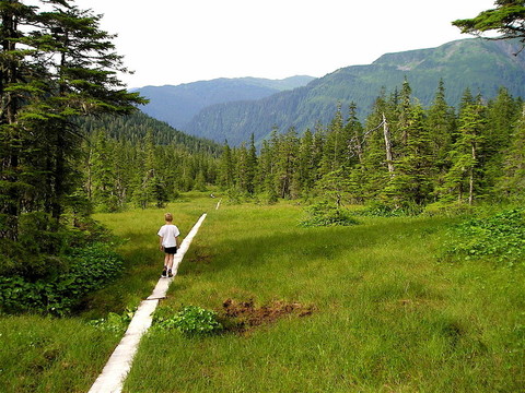 但穆勒蹤跡