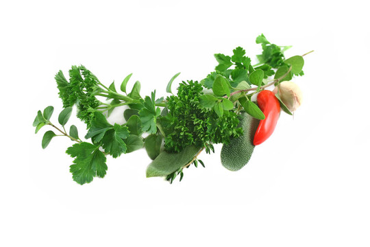 新鮮的香草花環(huán)