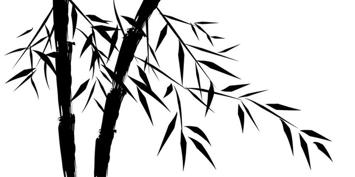 中國竹類樹種設(shè)計(jì)
