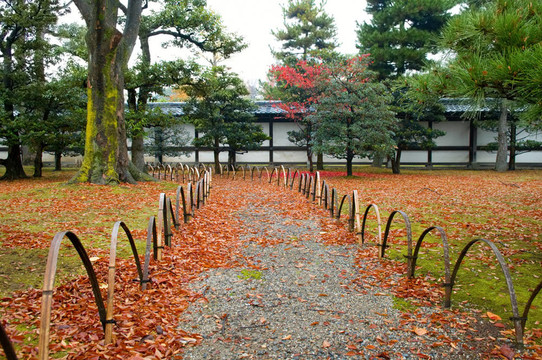 院子里