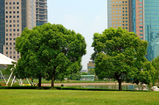 建筑背景樹(shù)