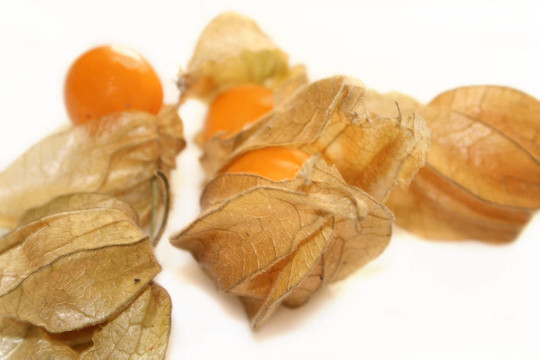 酸漿果實