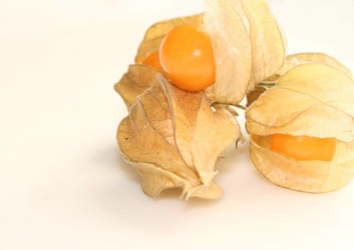酸漿果實