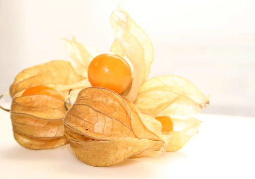 酸漿果實(shí)