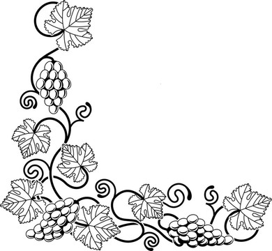 葡萄藤設(shè)計(jì)元素