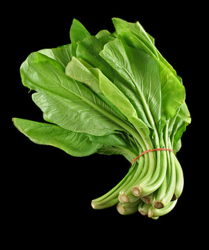 菜心1