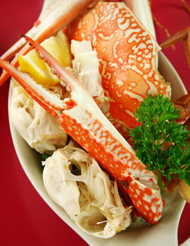 鮮裂沙蟹