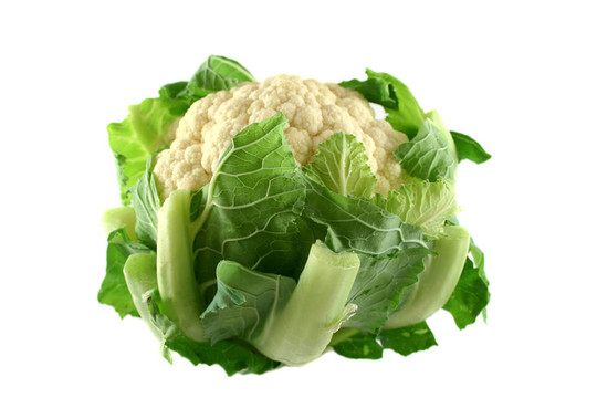 新鮮菜花1