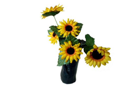 太陽花