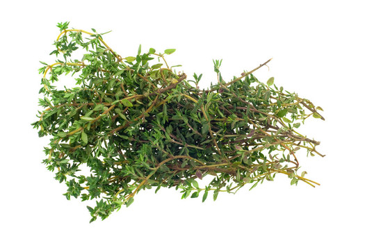 新鮮的百里香草