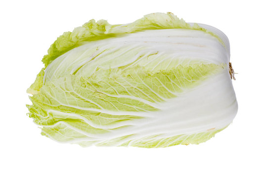 新鮮白菜