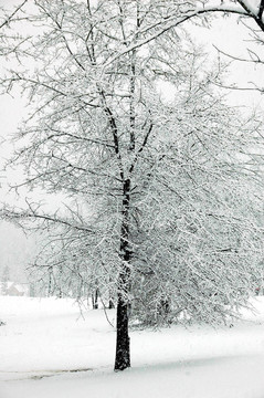 下雪天