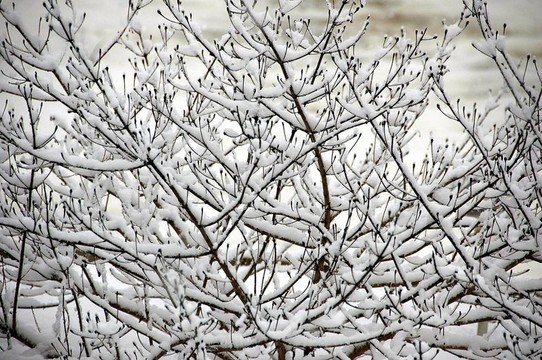 下雪天