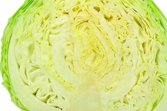 白菜。
