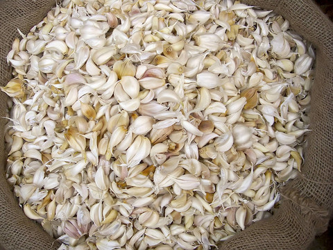 麻袋散裝大蒜