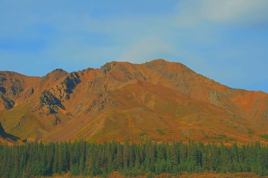 山樹(shù)線